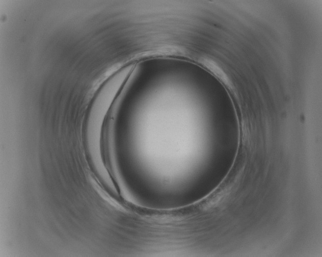 X0000073910389200609082218