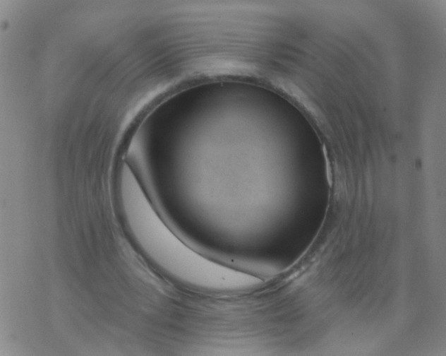 X0000073910391200609082218