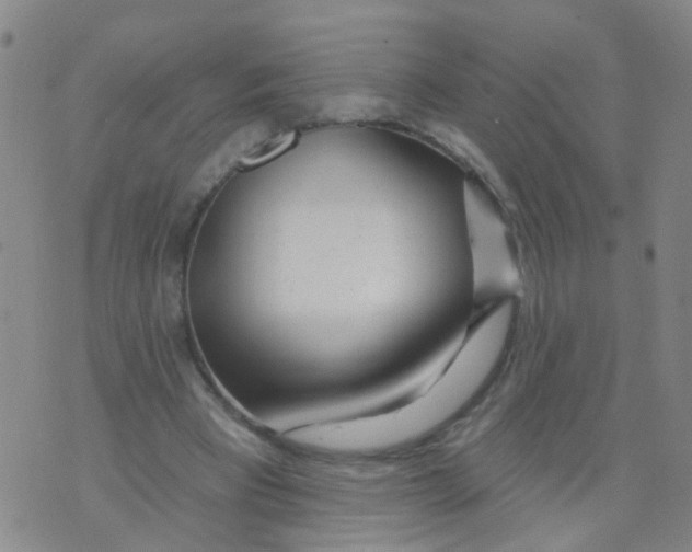 X0000073910393200609082218