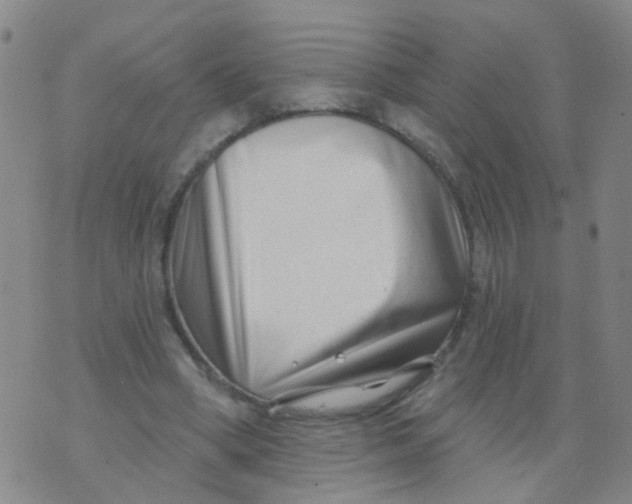 X0000073910394200609082218