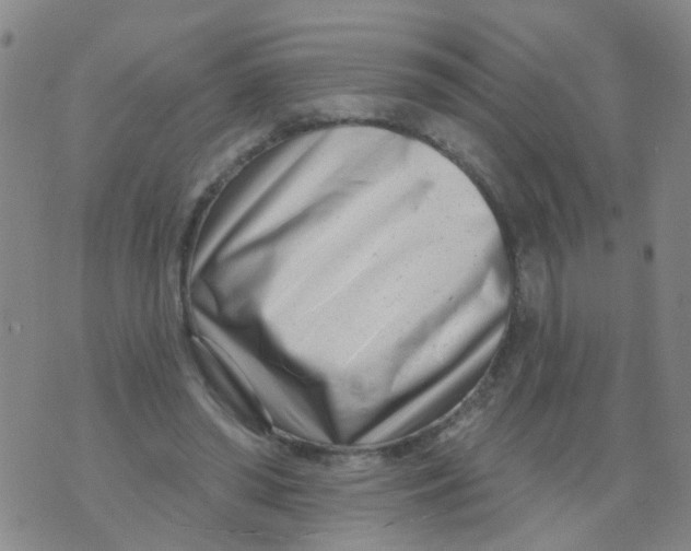 X0000073910398200609082218
