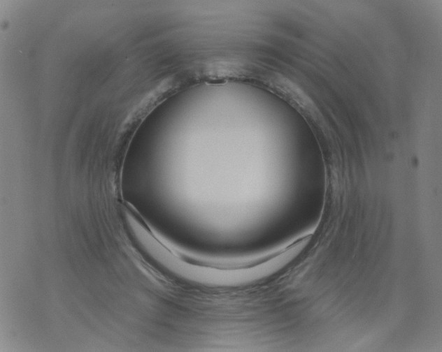 X0000073910401200609082218