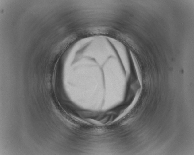X0000073910402200609082218