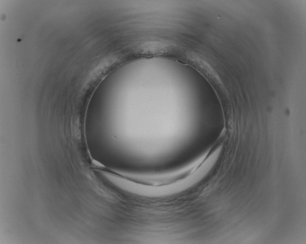 X0000073910403200609082218