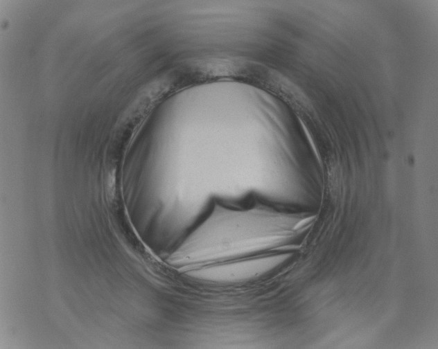 X0000073910406200609082218