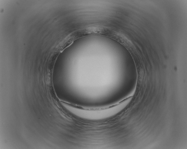 X0000073910413200609082218