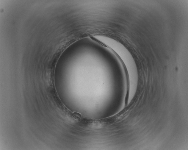 X0000073910416200609082218