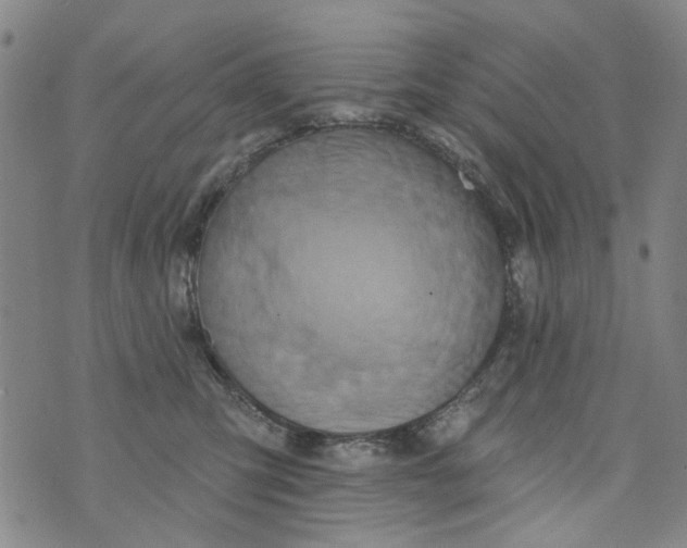 X0000073910423200609082217