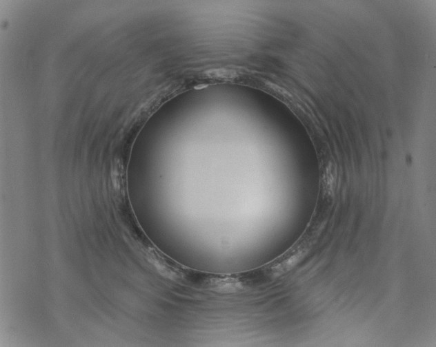X0000073910424200609082217