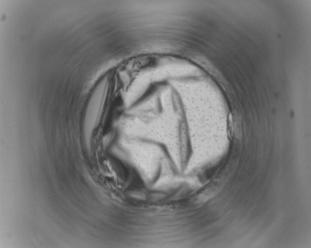 X0000073910434200609082217