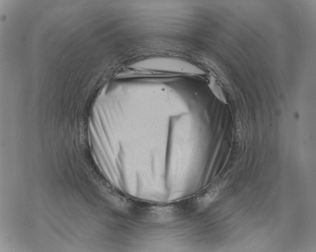 X0000073910457200609082217