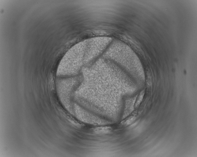 X0000073910465200609082217