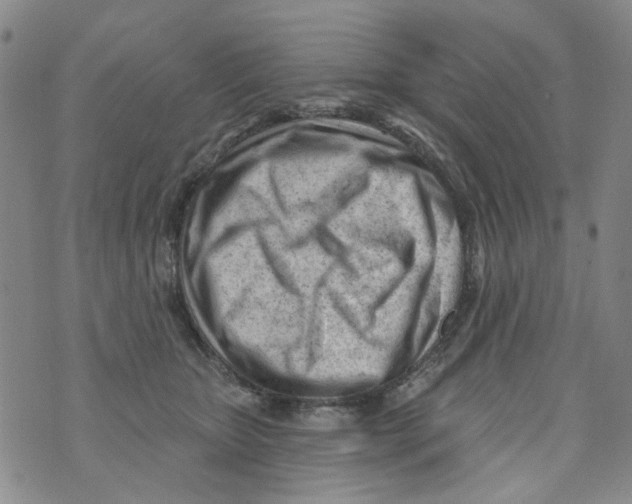 X0000073910467200609082217