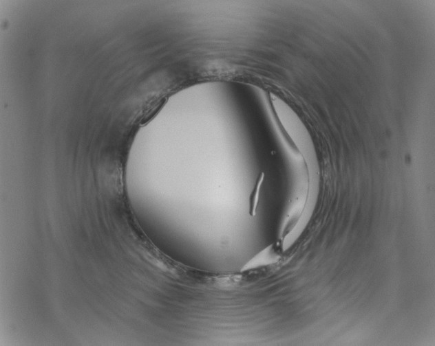 X0000073910474200609082217