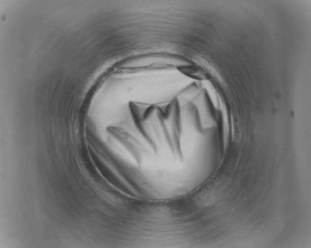 X0000073910483200609082216