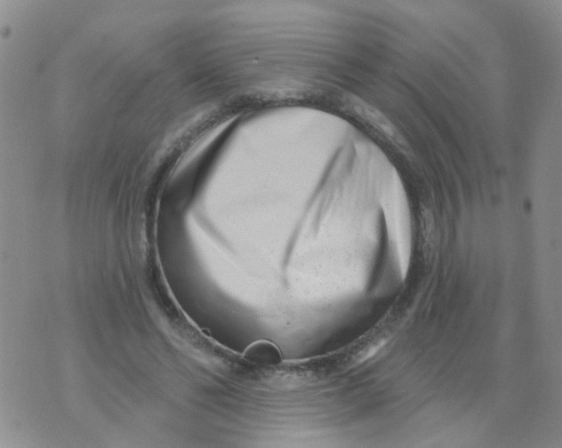 X0000073910494200609082216