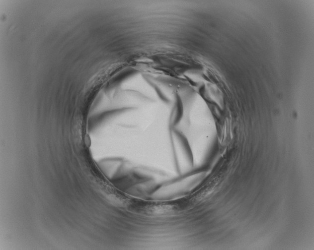 X0000073910501200609082216