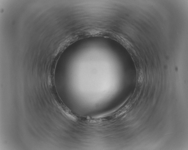 X0000073910524200609082216