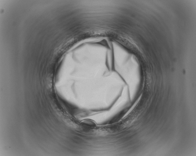 X0000073910545200609082215