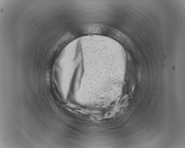 X0000073910551200609082215
