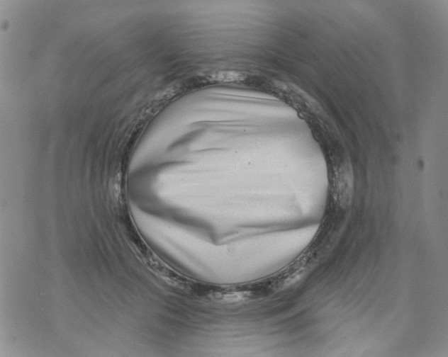 X0000073910553200609082215