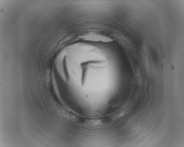 X0000073910554200609082215