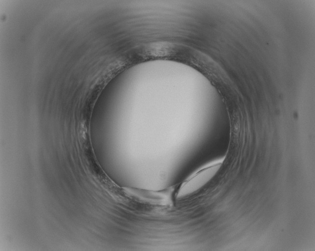 X0000073910555200609082215