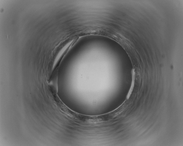X0000073910556200609082215