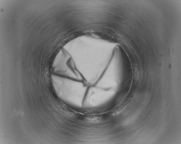 X0000073910557200609082215