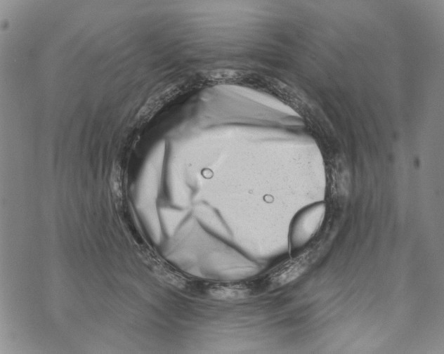 X0000073910561200609082215