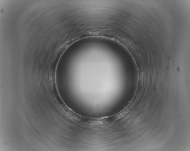 X0000073910572200609082216