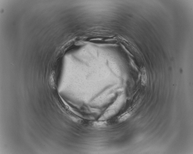 X0000073910573200609082216