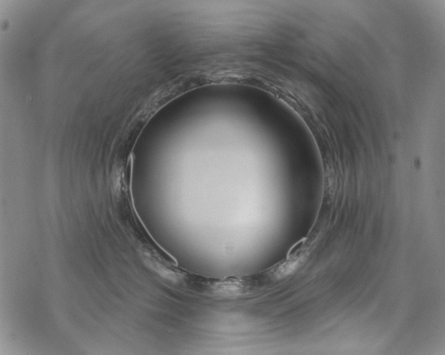 X0000073910574200609082216