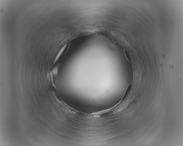 X0000073910576200609082216