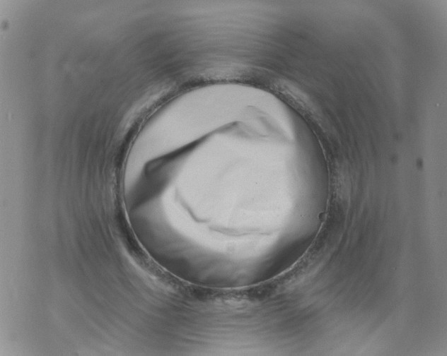 X0000073910586200609082215
