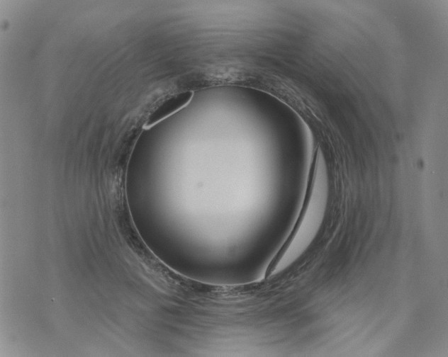 X0000073910601200609082215