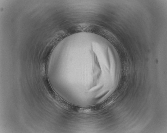 X0000073910602200609082215