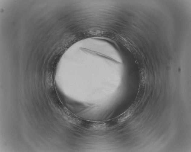 X0000073910606200609082214