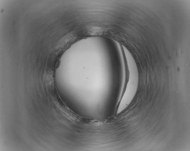 X0000073910620200609082214