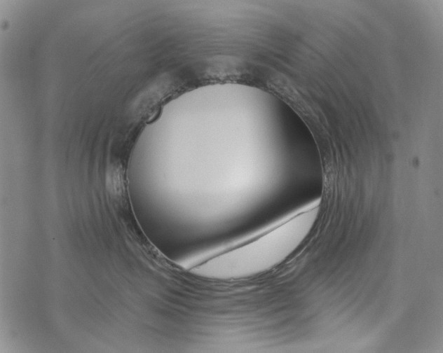 X0000073910623200609082214