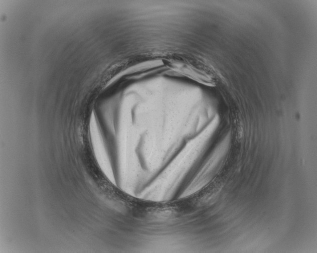 X0000073910643200609082214