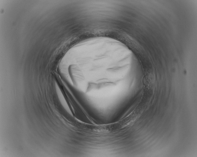 X0000073910644200609082214
