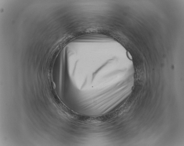 X0000073910648200609082214