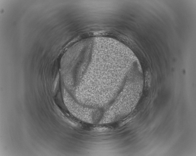 X0000073910650200609082214