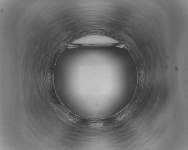 X0000073910653200609082214