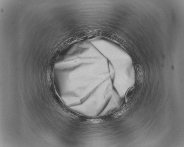 X0000073910654200609082214