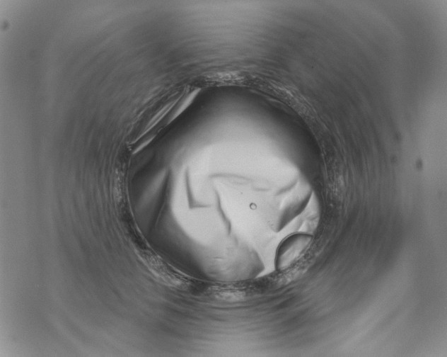 X0000073910658200609082214