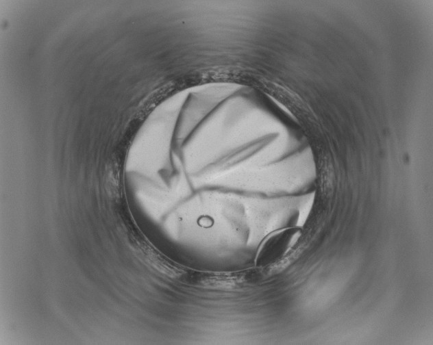 X0000073910661200609082214