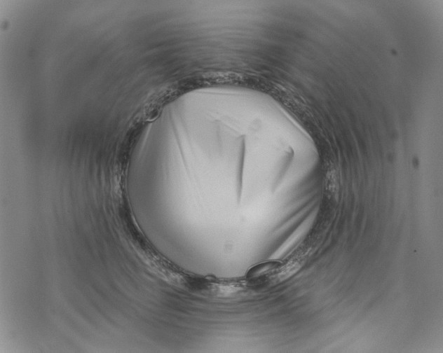X0000073910662200609082214