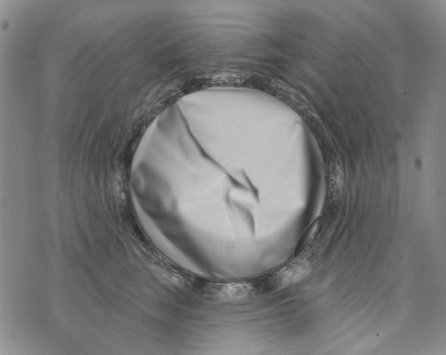 X0000073910663200609082214